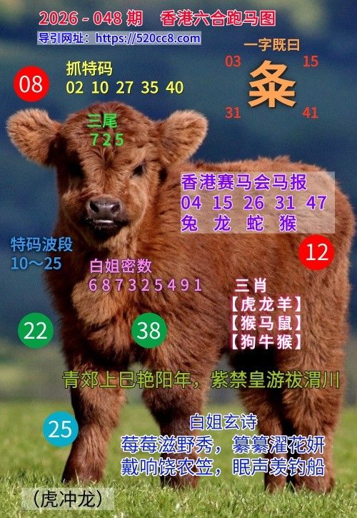 香港六合048期