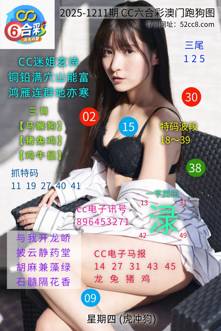 CC六合澳门跑马图1211期