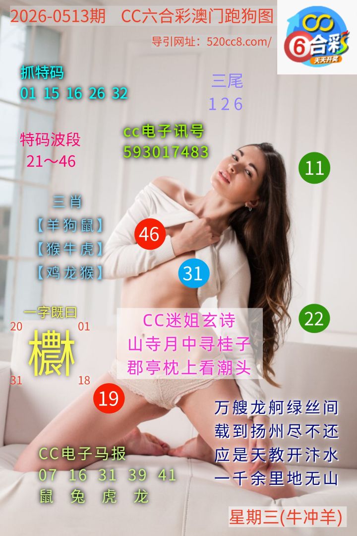 CC六合澳门跑马图0514期
