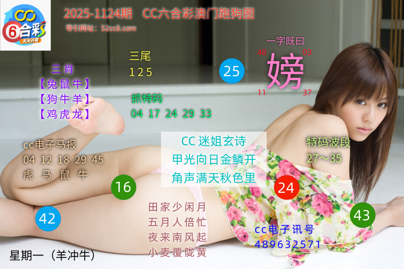CC六合澳门跑马图1124期